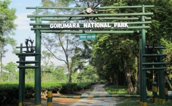 Gorumara National Park