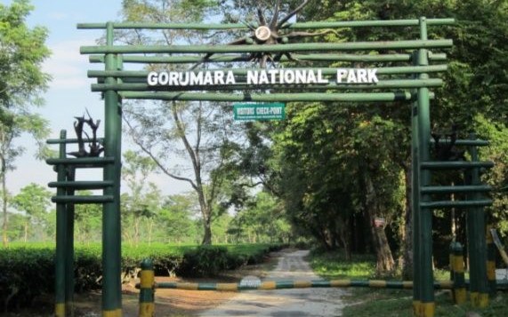 Gorumara National Park