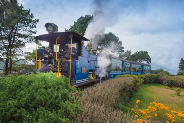 The Darjeeling toy train ride