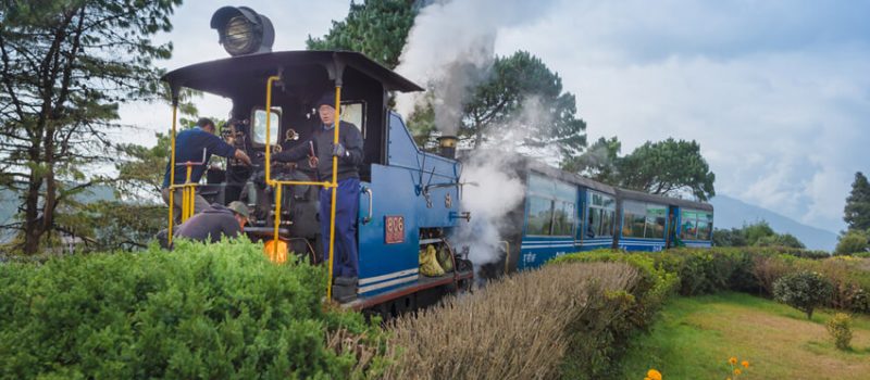 The Darjeeling toy train ride